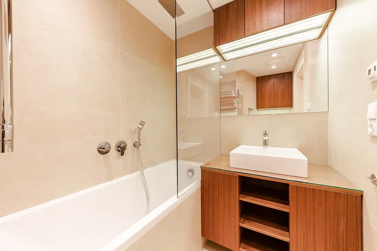 V Lesíčku, Smíchov - Prague 5 | Rent, Apartment, Six-bedroom (7+kk), 243 m²