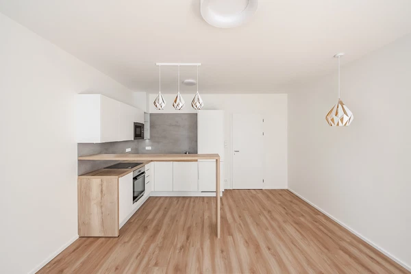 Vítové, Hlubočepy - Prague 5 | Rent, Apartment, Studio (1+kk), 34 m²