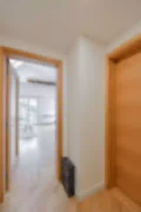 Přemyslovská, Vinohrady - Prague 3 | Rent, Apartment, Studio (1+kk), 50 m²