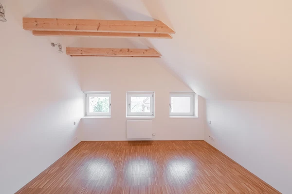 Pod Závěrkou, Smíchov - Prague 5 | Rent, House, Five-bedroom (6+kk), 350 m²