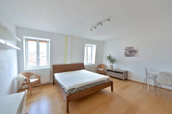 Havlíčkovo náměstí, Žižkov - Praha 3 | Pronájem, Byt, 1+kk, 44 m²