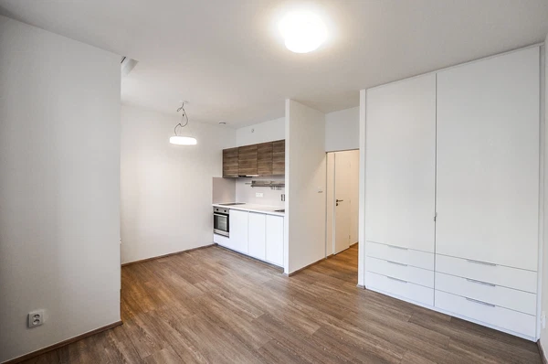 Lucemburská, Vinohrady - Prague 3 | Rent, Apartment, Studio (1+kk), 30 m²