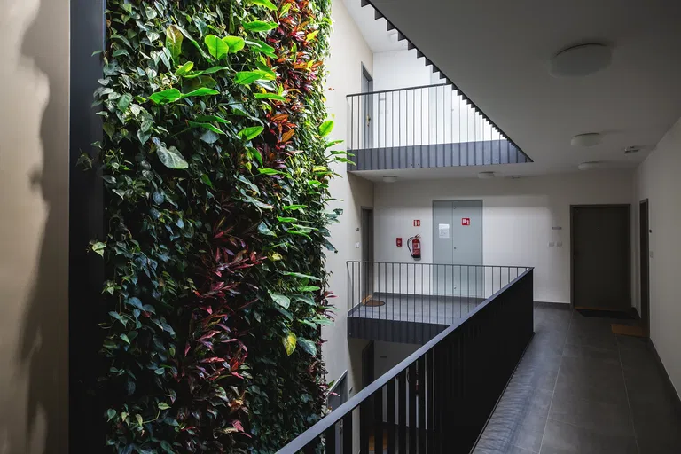 U Matěje, Dejvice - Praha 6 | Pronájem, Byt, 2+kk, 63 m²