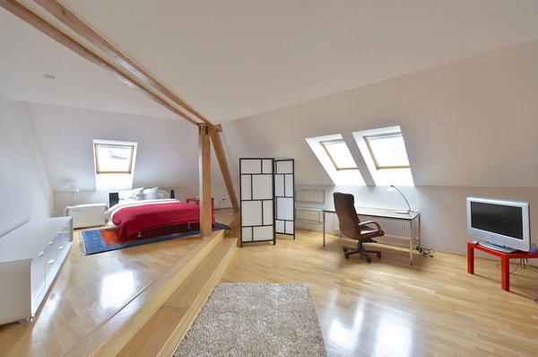 Veleslavínova, Staré Město - Prague 1 | Rent, Apartment, Three-bedroom (4+1), 200 m²