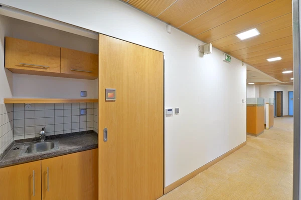 Muchova, Bubeneč - Prague 6 | Rent, Office space, 319 m²