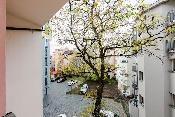 Belgická, Vinohrady - Praha 2 | Pronájem, Byt, 2+1, 66 m²