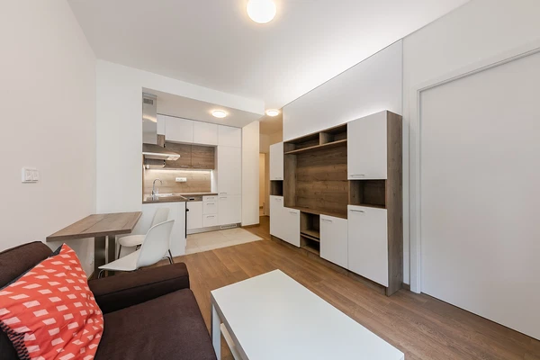 Řipská, Vinohrady - Praha 3 | Pronájem, Byt, 2+kk, 33 m²