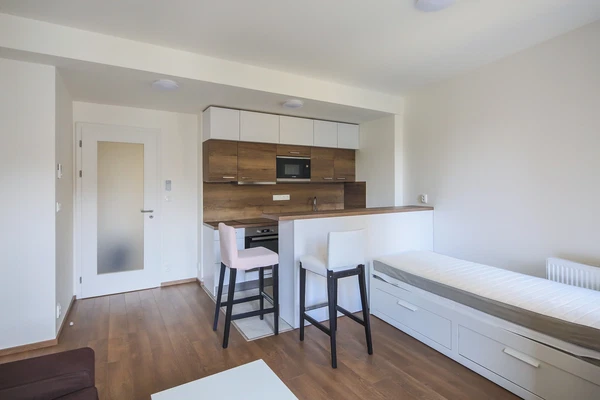 Řipská, Vinohrady - Prague 3 | Rent, Apartment, Studio (1+kk), 27 m²