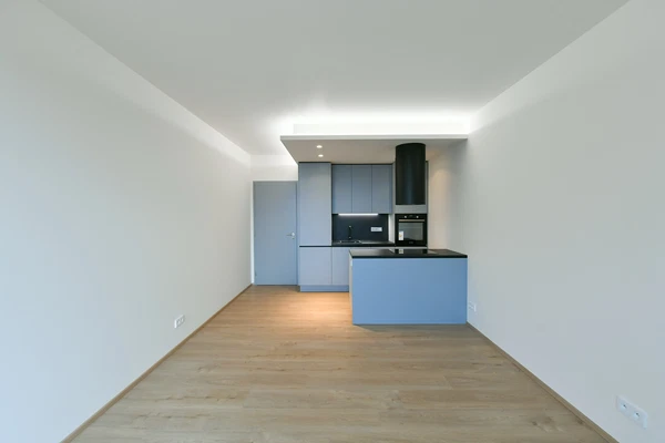 U Vlachovky, Libeň - Prague 8 | Rent, Apartment, One-bedroom (2+kk), 61 m²