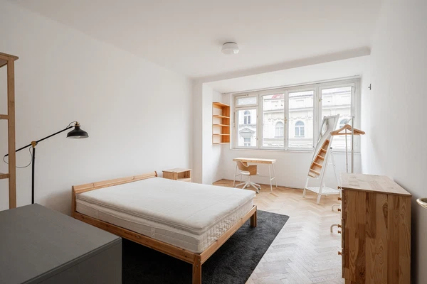 Mánesova, Vinohrady - Praha 2 | Pronájem, Byt, 3+1, 95 m²