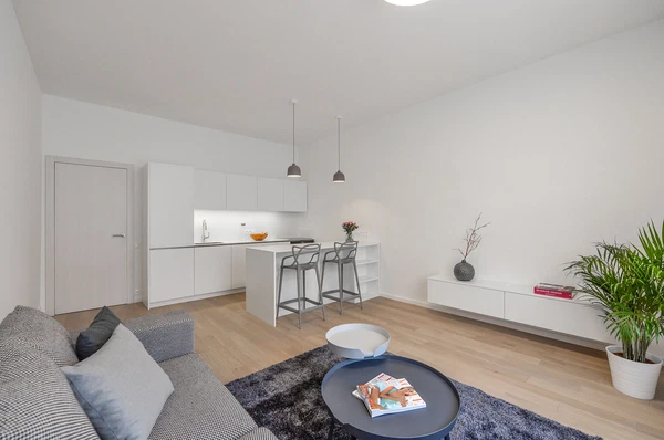 Lucemburská, Vinohrady - Praha 3 | Pronájem, Byt, 2+kk, 65 m²