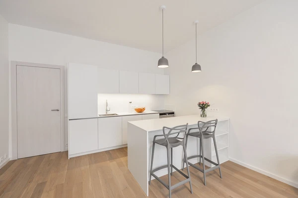 Lucemburská, Vinohrady - Praha 3 | Pronájem, Byt, 2+kk, 65 m²