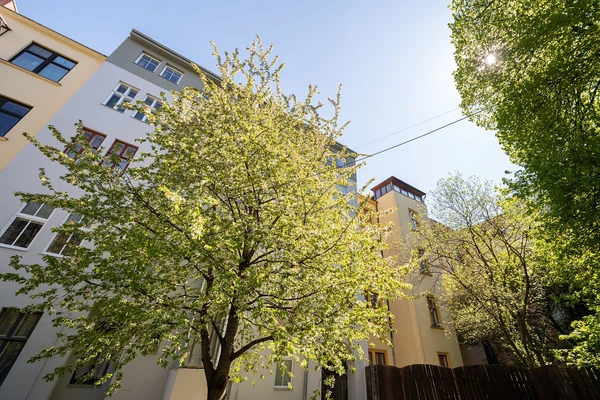 Jiráskova - Brno | Sale, Apartment, Two-bedroom (3+1), 138 m²