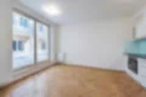 Myslíkova, Nové Město - Prague 2 | Rent, Apartment, Studio (1+1), 46 m²