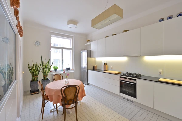 Podskalská, Nové Město - Prague 2 | Rent, Apartment, Four-bedroom (5+1), 200 m²