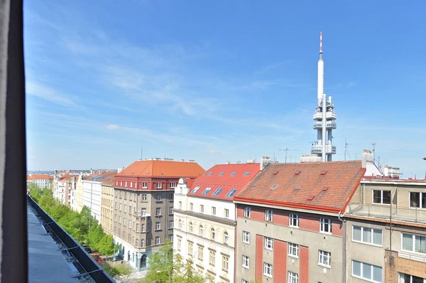 Lucemburská, Vinohrady - Prague 3 | Rent, Apartment, One-bedroom (2+kk), 54 m²