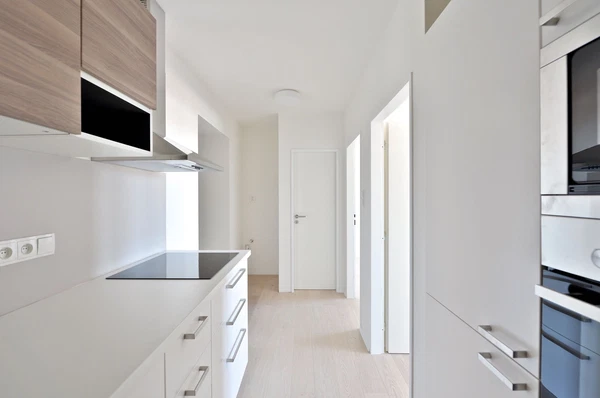 Lucemburská, Vinohrady - Prague 3 | Rent, Apartment, One-bedroom (2+kk), 54 m²