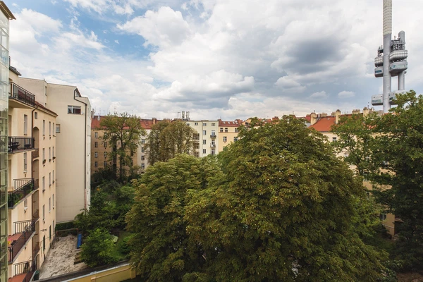 Ondříčkova, Žižkov - Prague 3 | Rent, Apartment, One-bedroom (2+kk), 45 m²