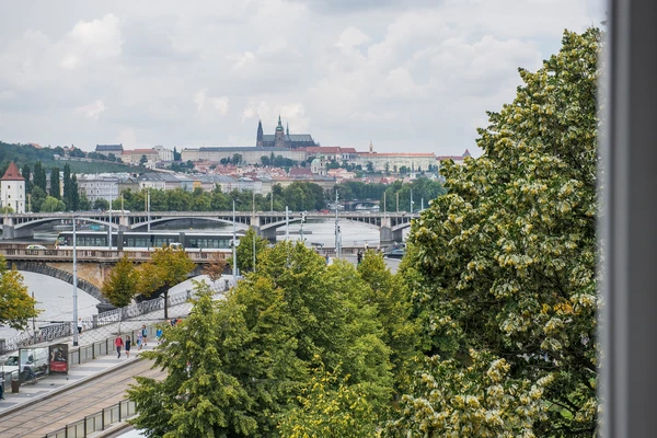 Dřevná, Nové Město - Prague 2 | Rent, Apartment, Three-bedroom (4+1), 156 m²