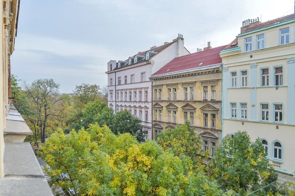 Jana Zajíce, Bubeneč - Prague 7 | Rent, Apartment, Two-bedroom (3+kk), 100 m²