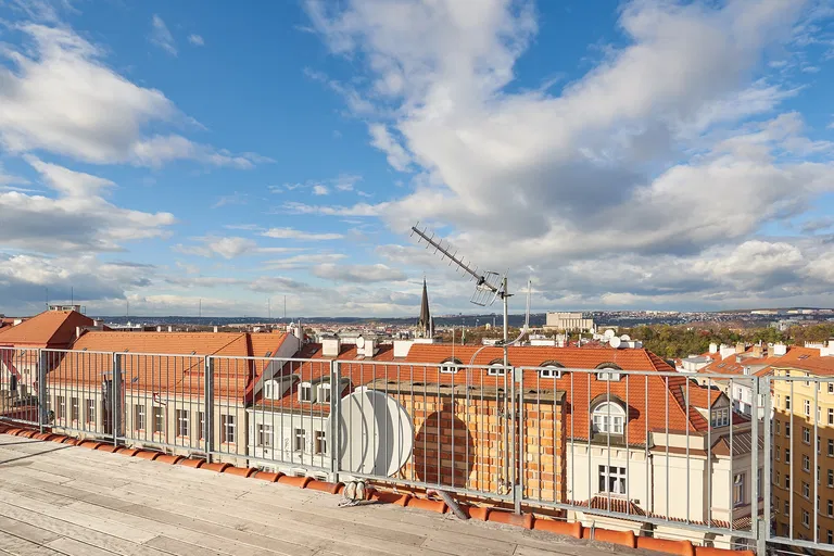 Kubelíkova, Žižkov - Prague 3 | Sale, Apartment, Three-bedroom (4+kk), 376 m²