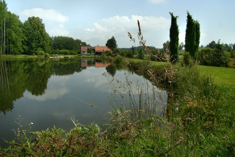 Stříbřec - Jindřichův Hradec | Prodej, Rodinný dům, 6+1, 229 m²