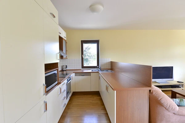 Irská, Vokovice - Prague 6 | Rent, Apartment, Three-bedroom (4+kk), 120 m²