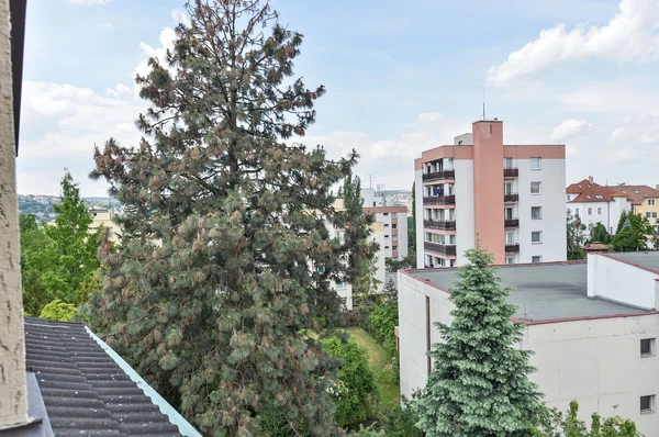 Vápencová, Podolí - Prague 4 | Rent, House, Seven-bedroom (8+1), 550 m²