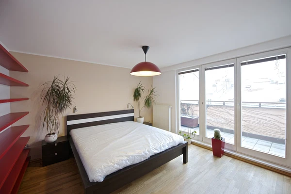 Přemyslovská, Vinohrady - Prague 3 | Rent, Apartment, Three-bedroom (4+kk), 155 m²