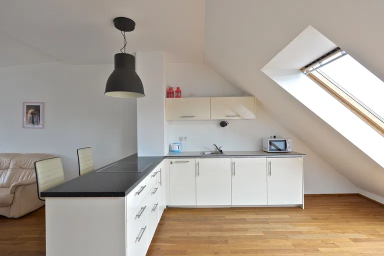 U Studánky, Bubeneč - Praha 7 | Pronájem, Byt, 4+kk, 145 m²