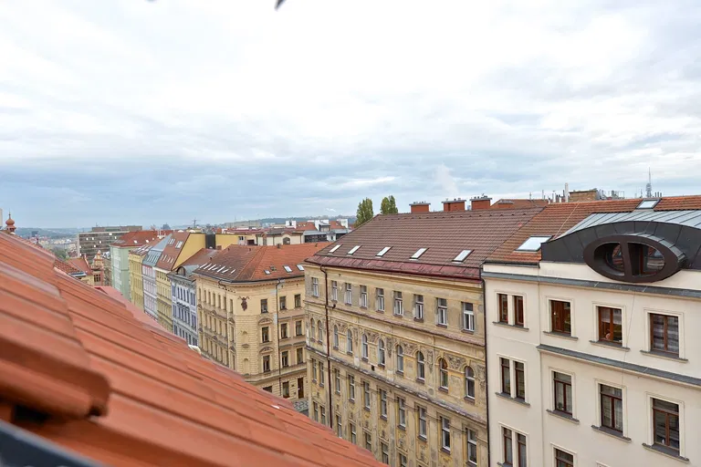 U Studánky, Bubeneč - Praha 7 | Pronájem, Byt, 4+kk, 145 m²