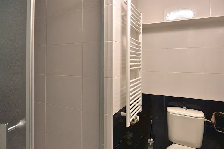 Nerudova, Malá Strana - Praha 1 | Pronájem, Byt, 4+kk, 160 m²