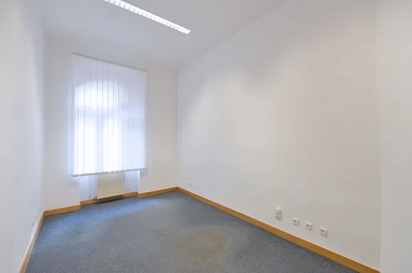 Havanská, Bubeneč - Praha 7 | Pronájem, Byt, 6+1, 239 m²