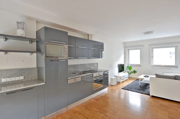 Prokopova, Žižkov - Prague 3 | Rent, Apartment, One-bedroom (2+kk), 62 m²