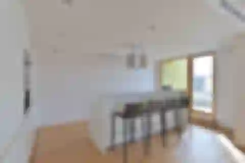 Ocelářská, Libeň - Prague 9 | Rent, Apartment, Two-bedroom (3+kk), 240 m²