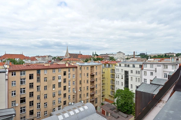 Ladova, Nové Město - Prague 2 | Sale, Apartment, Three-bedroom (4+kk), 154 m²