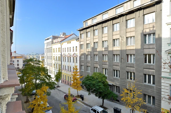 Máchova, Vinohrady - Prague 2 | Rent, Apartment, Two-bedroom (3+1), 90 m²