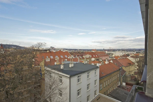 Krakovská, Nové Město - Prague 1 | Rent, Apartment, Two-bedroom (3+kk), 114 m²