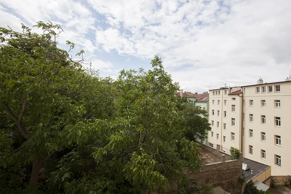 Řehořova, Žižkov - Prague 3 | Rent, Apartment, One-bedroom (2+1), 70 m²