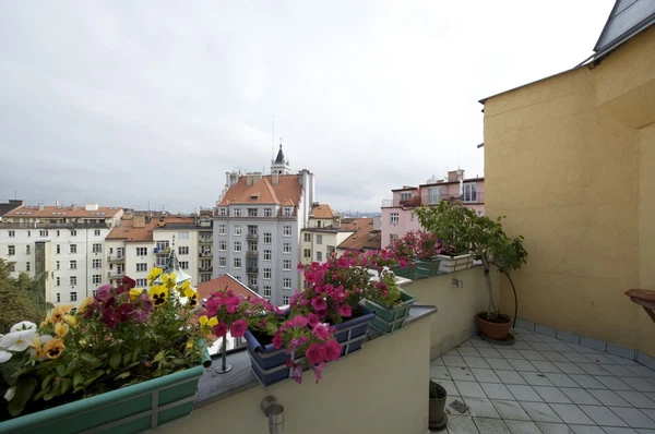 Václavkova, Dejvice - Prague 6 | Rent, Apartment, Four-bedroom (5+1), 154 m²