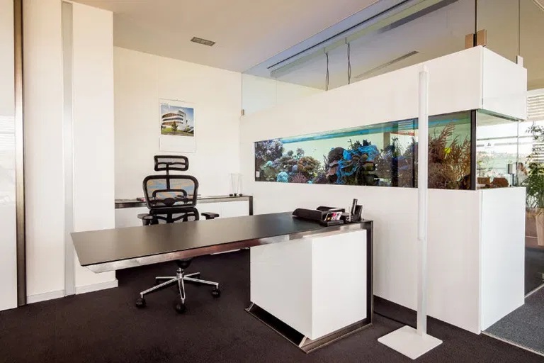 Sochorova, Brno - Žabovřesky - Brno-město | Rent, Office building, 555 m²