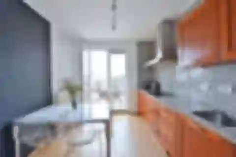 U studánky, Bubeneč - Prague 7 | Rent, Apartment, Two-bedroom (3+kk), 72 m²