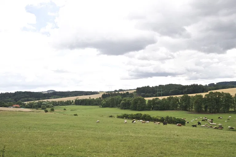 Divišov-Křešice, Divišov - Benešov | Sale, Farmhouse estate, 800 m²