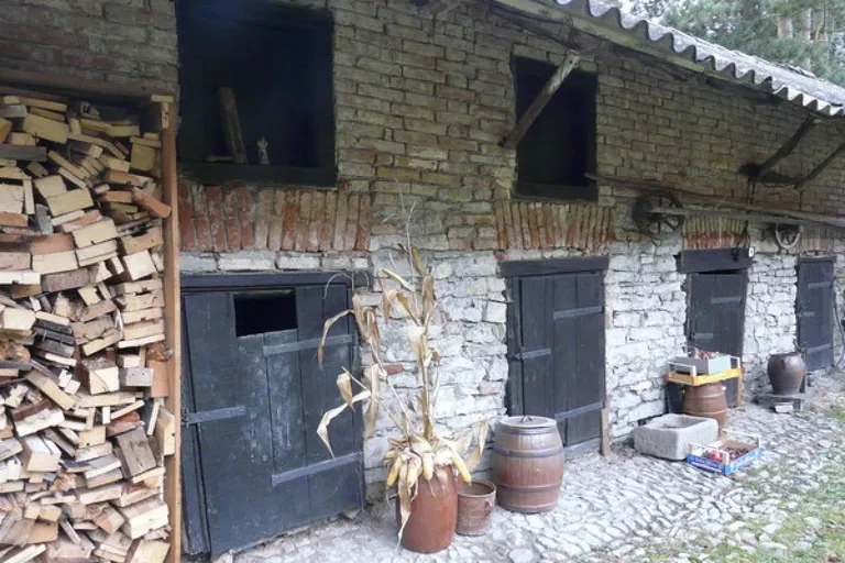 Svatý Jan pod Skalou - Beroun | Sale, Farmhouse estate, 400 m²