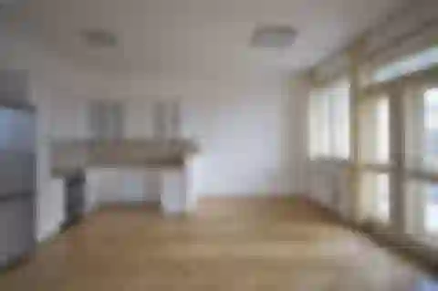 Nad Petruskou, Vinohrady - Prague 2 | Rent, Apartment, Three-bedroom (4+kk), 120 m²