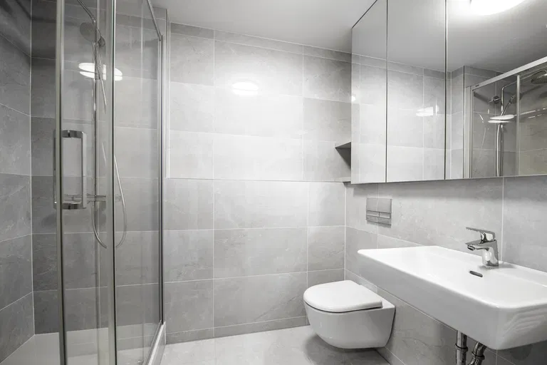 Česká, Košíře - Praha 5 | Prenájom, Byt, 1-izbový, 48 m²