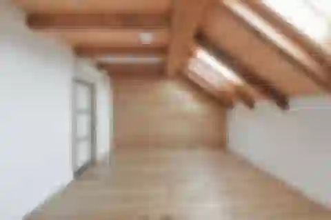 Ovenecká, Holešovice - Prague 7 | Sale, Apartment, Two-bedroom (3+kk), 149 m²