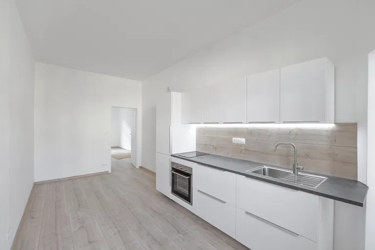 Mikuláše z Husi, Nusle - Prague 4 | Rent, Apartment, One-bedroom (2+kk), 46 m²