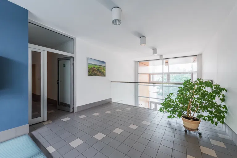 Irská, Vokovice - Praha 6 | Prenájom, Byt, 4-izbový, 115 m²