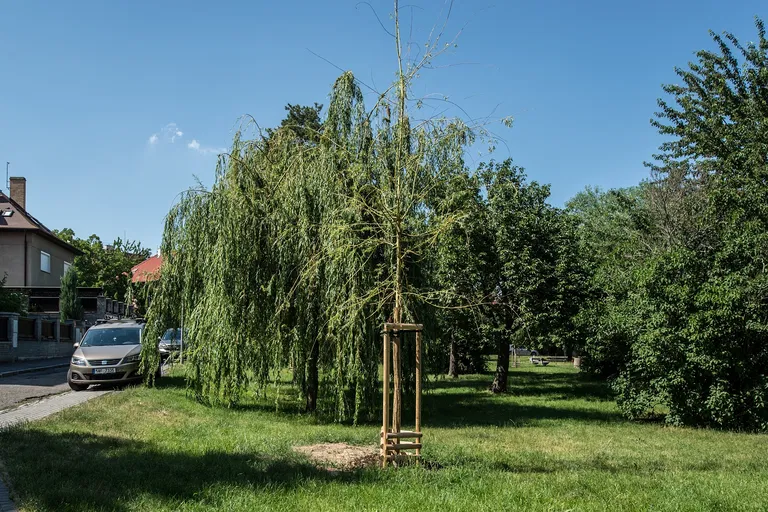 Na Čihadle, Dejvice - Praha 6 | Prenájom, Rodinný dom, 6-izbový, 230 m²